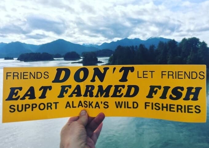 Seafood mislabeling concerns