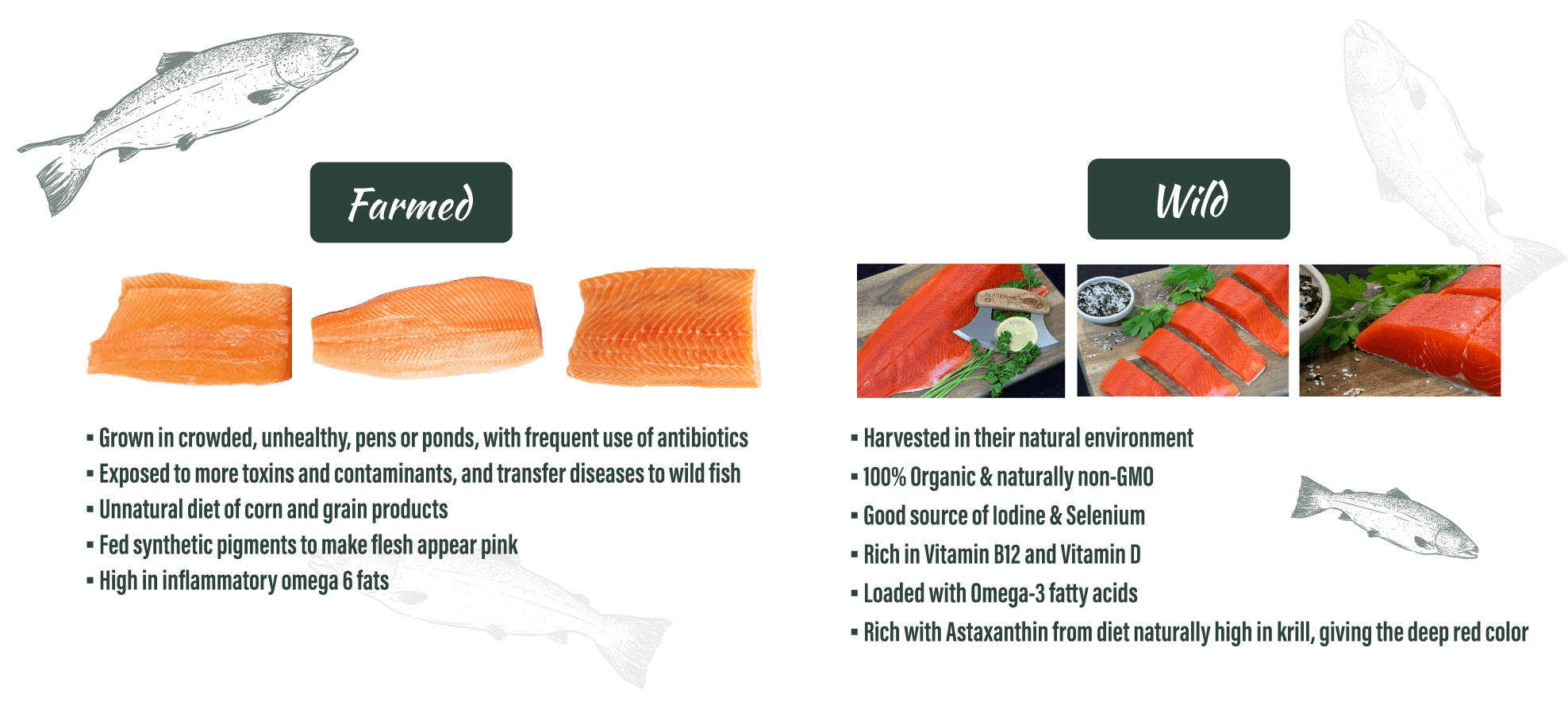 Farmed vs. Wild Salmon comparison