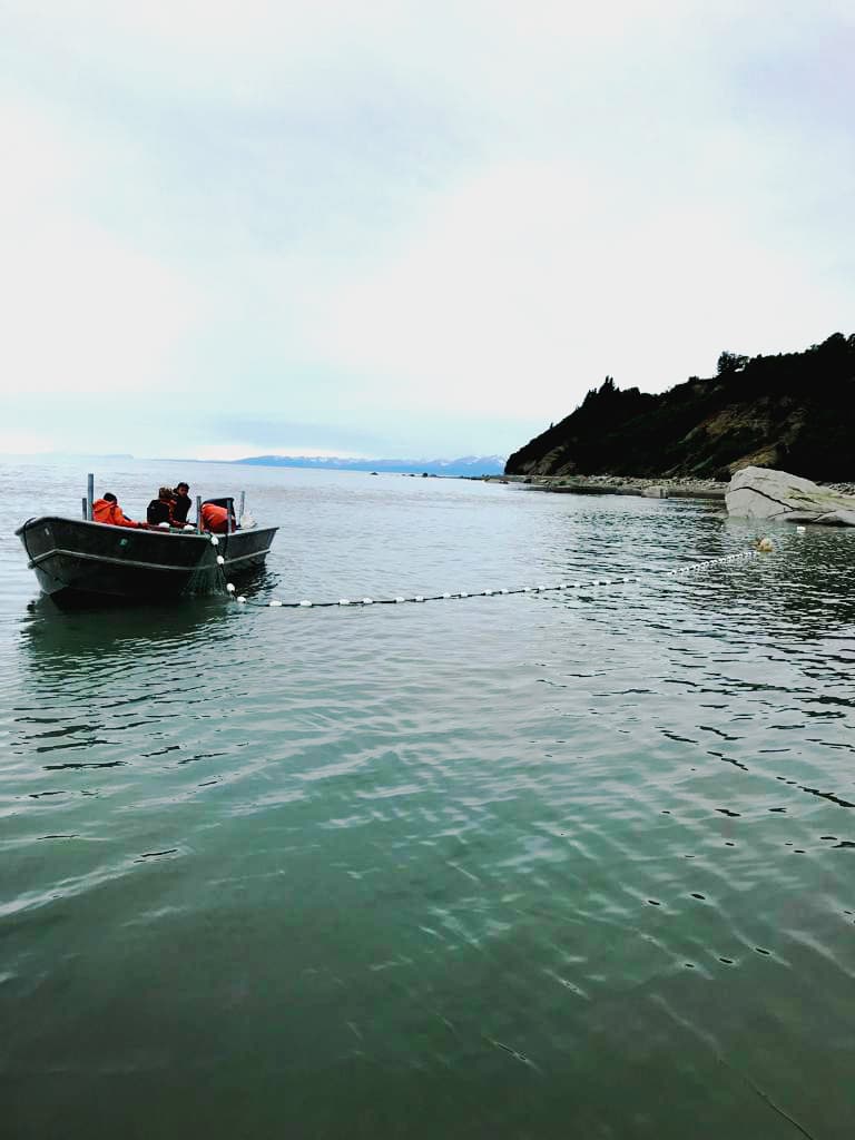 Cook Inlet 4