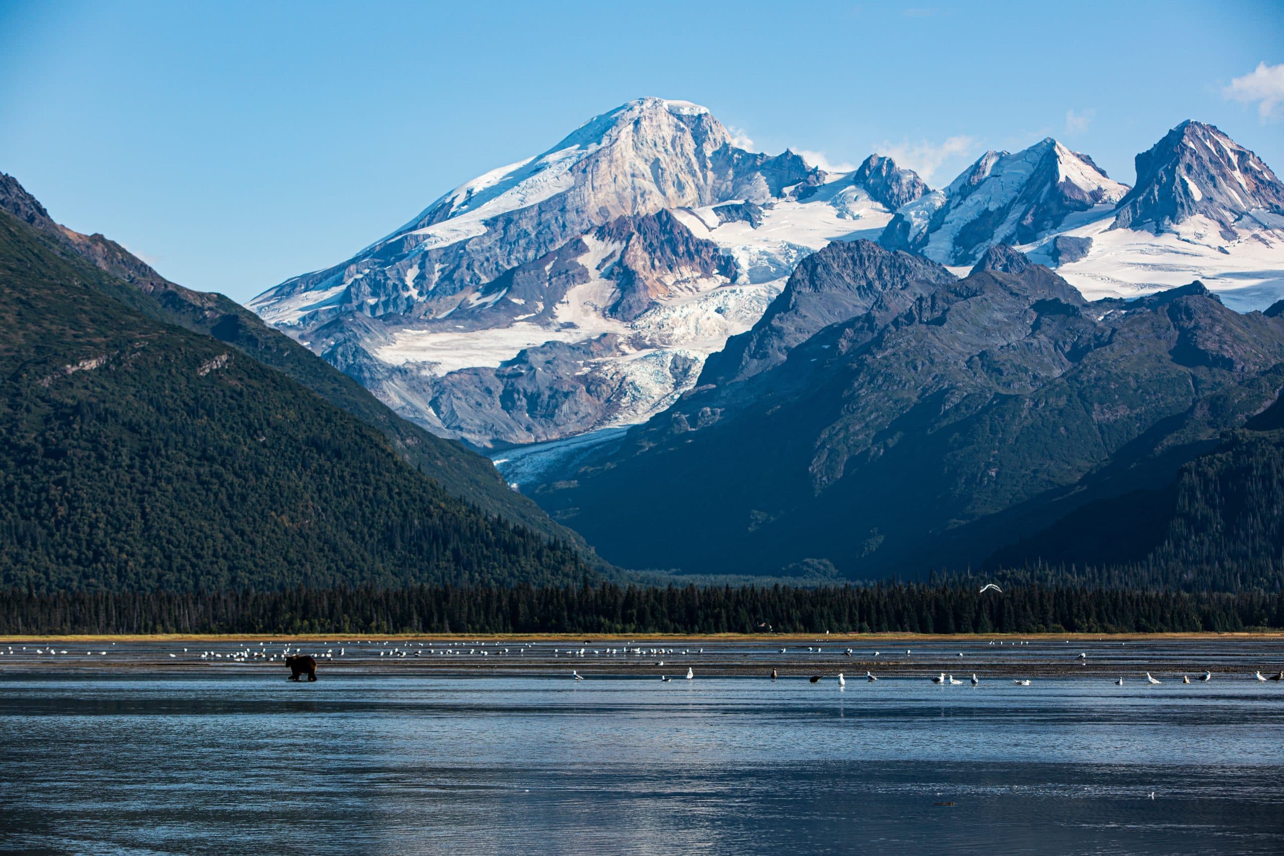 Cook Inlet 7