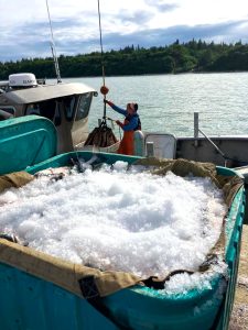 44337e53-5d81-4905-84bc-ae20cedaa6ed