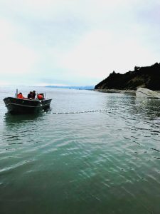 8d5965d3-27dc-4d54-bef3-2e9417bc0375