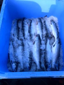 a5794bf7-fbe8-43b8-a611-698cd6f8d93b