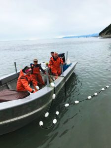 e3e81126-febe-4c67-9f0f-54a762b06539