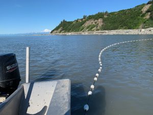 Photo Jul 13 2023, 9 07 44 AM